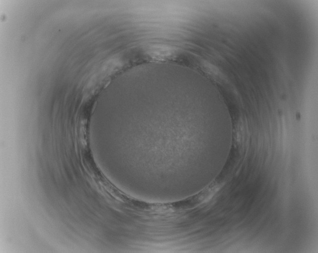 X0000056331346200509092318