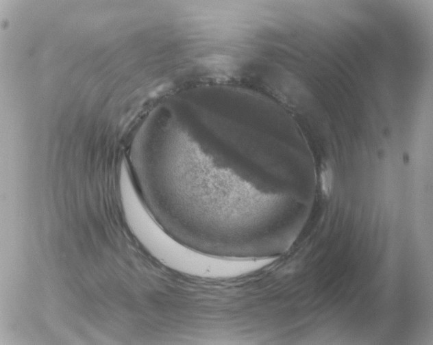 X0000056331347200509092318