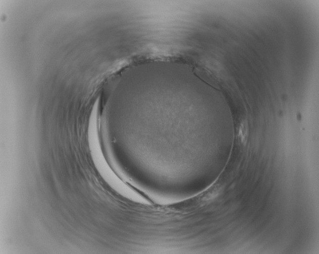 X0000056331348200509092318