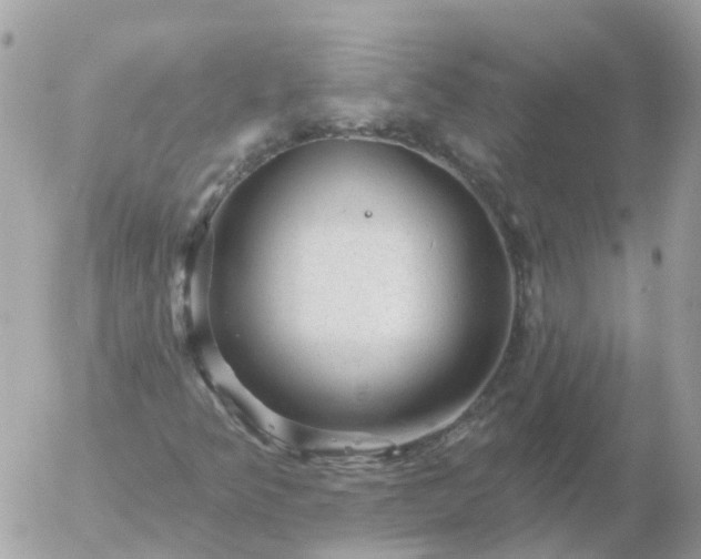 X0000056331349200509092318