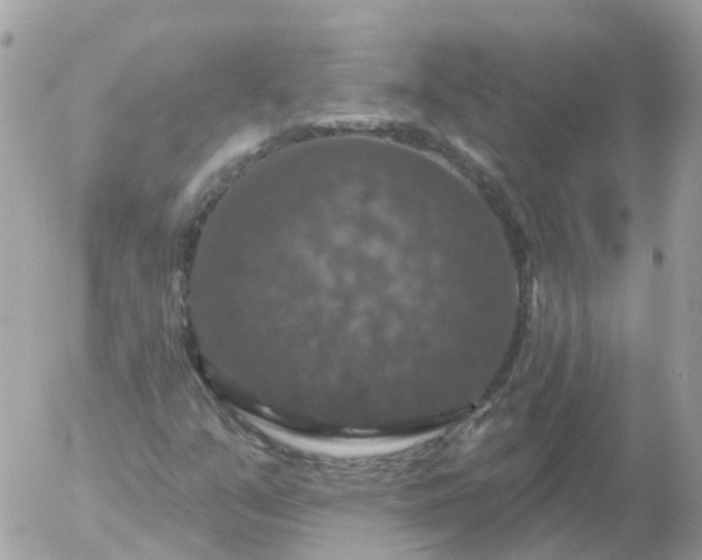 X0000056331351200509092318