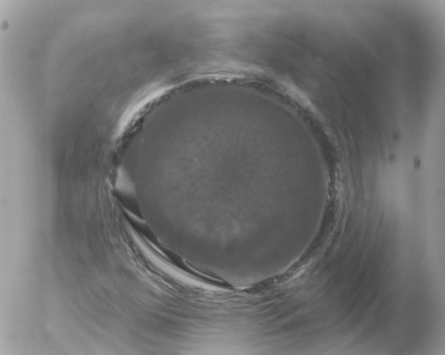 X0000056331352200509092318