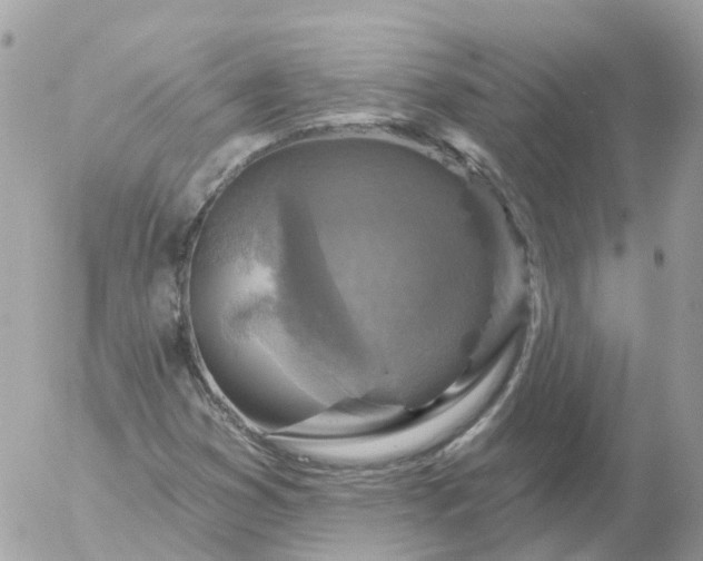 X0000056331353200509092318