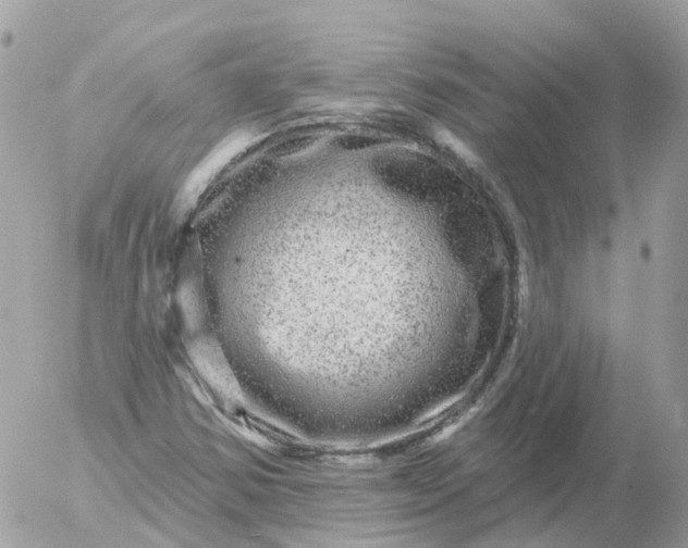 X0000056331354200509092318