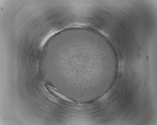 X0000056331355200509092318