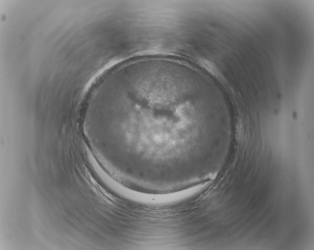 X0000056331356200509092318