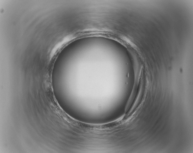 X0000056331357200509092318