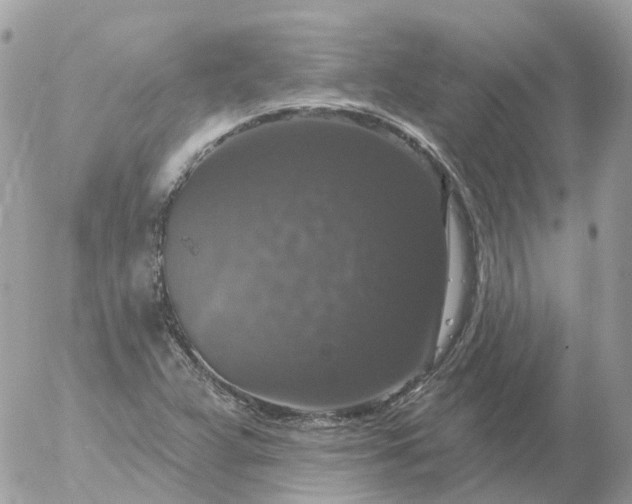 X0000056331359200509092318