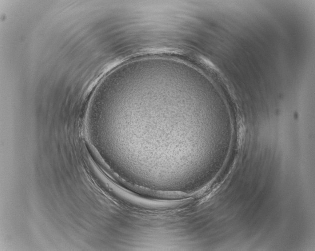 X0000056331361200509092318