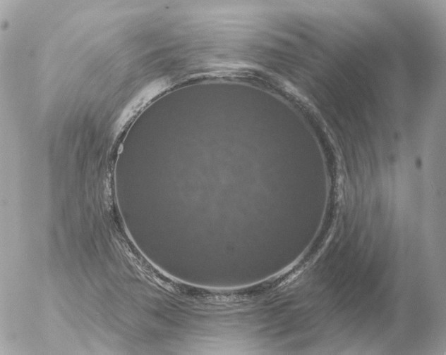 X0000056331362200509092318