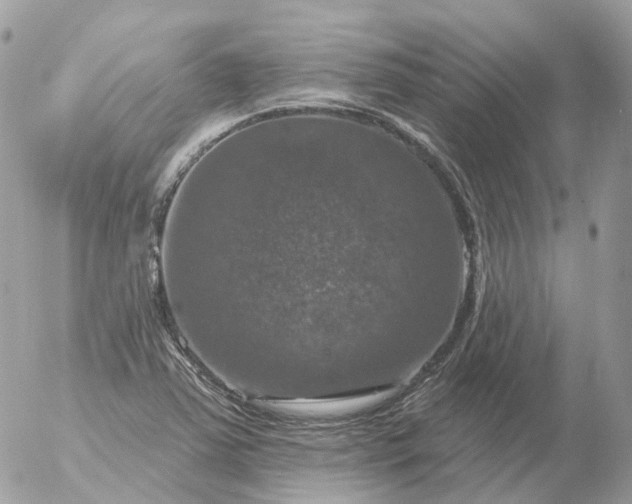 X0000056331363200509092318