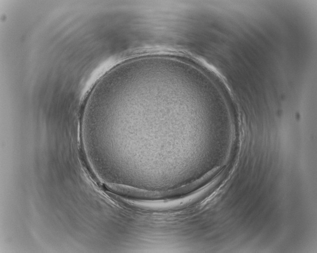 X0000056331365200509092318