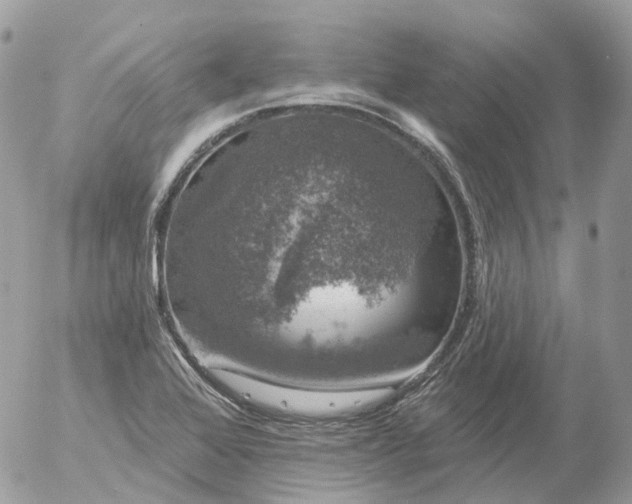 X0000056331368200509092317