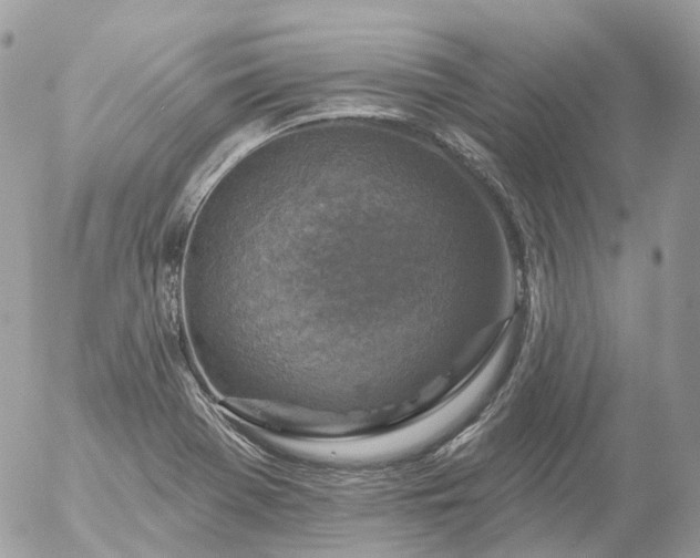 X0000056331369200509092317