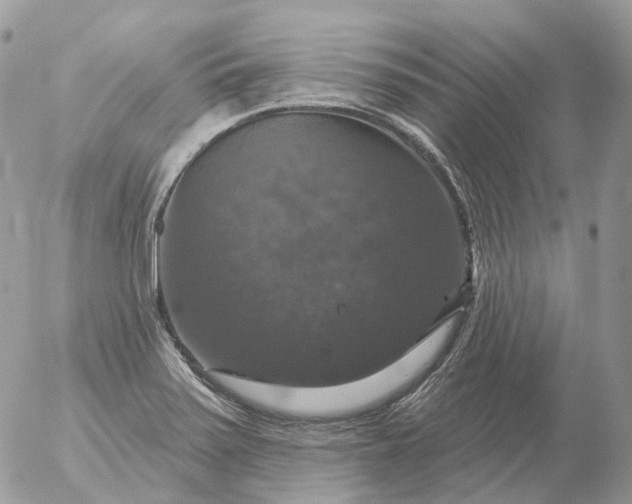 X0000056331371200509092317