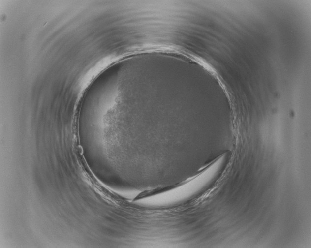 X0000056331373200509092317