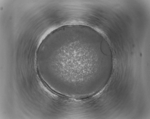 X0000056331374200509092317