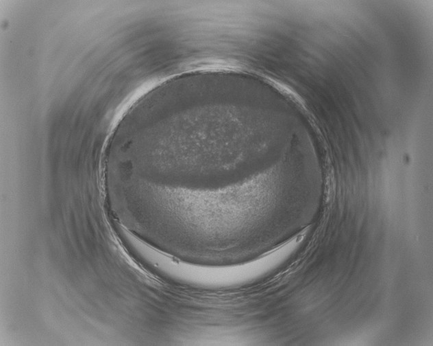 X0000056331375200509092317