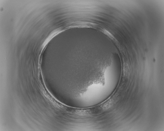 X0000056331378200509092317