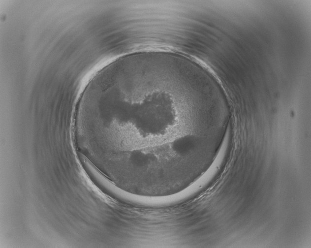 X0000056331379200509092317