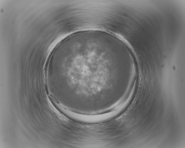 X0000056331380200509092317