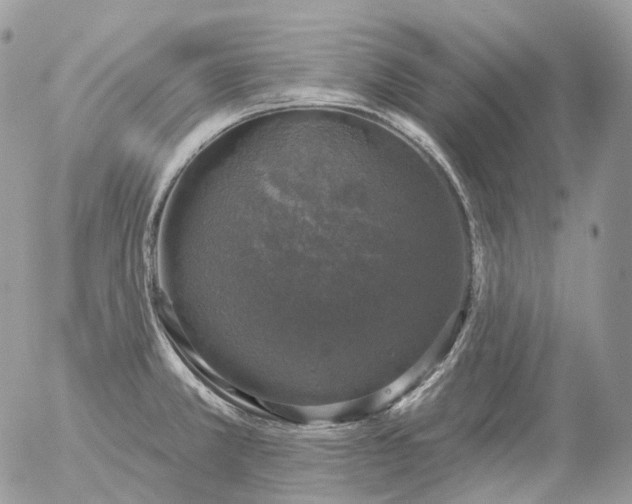 X0000056331381200509092317