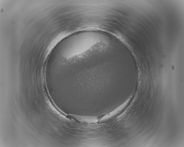 X0000056331382200509092317