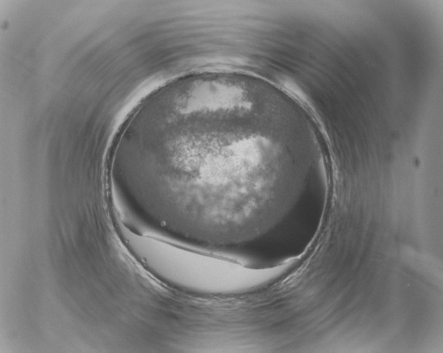 X0000056331384200509092317