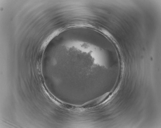 X0000056331385200509092317