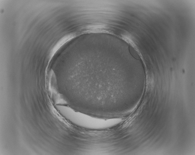 X0000056331386200509092317