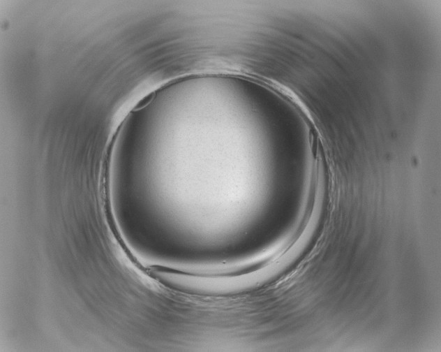 X0000056331387200509092317