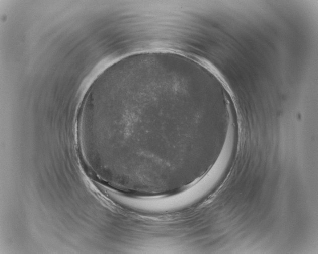 X0000056331388200509092317