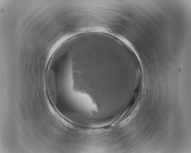 X0000056331389200509092317