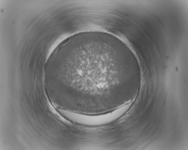 X0000056331390200509092317