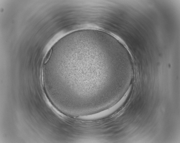 X0000056331391200509092317