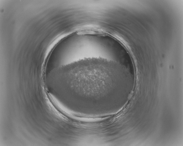 X0000056331392200509092317