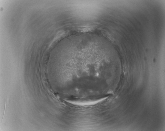 X0000056331393200509092316