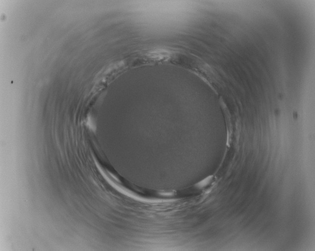 X0000056331394200509092316