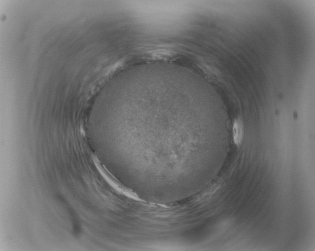 X0000056331395200509092316