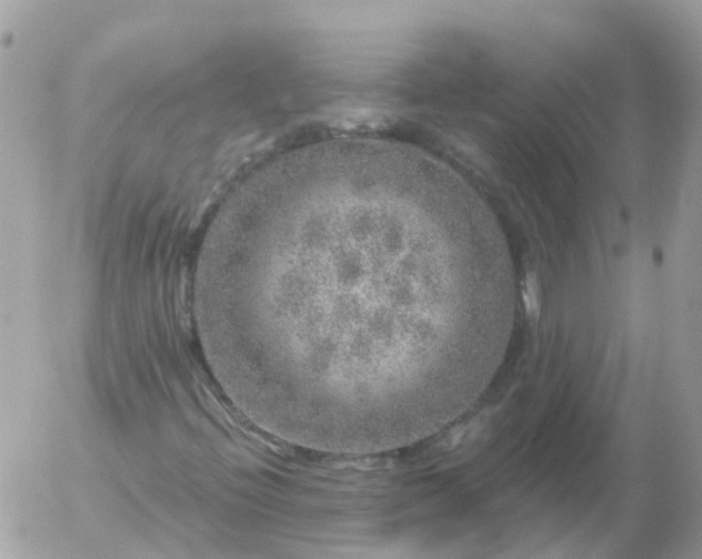 X0000056331396200509092316