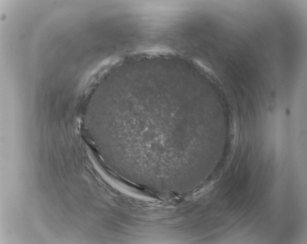 X0000056331398200509092316