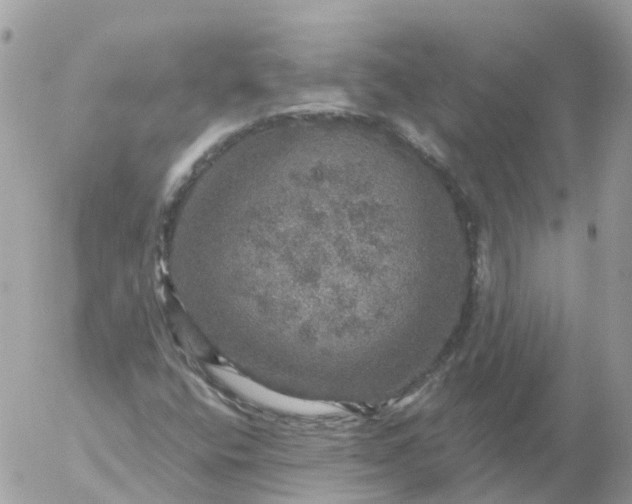 X0000056331400200509092316