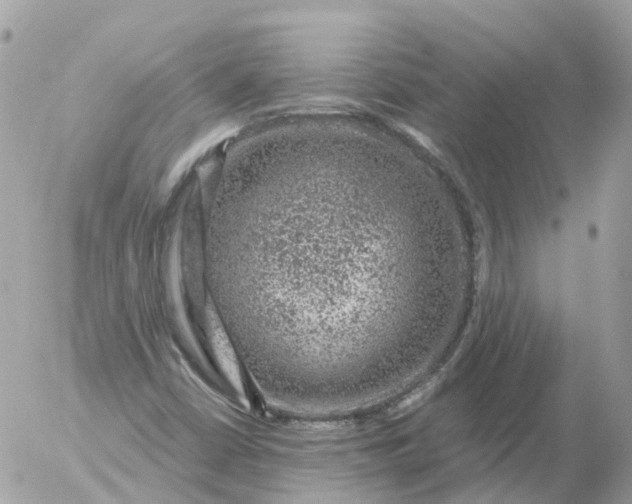 X0000056331402200509092316