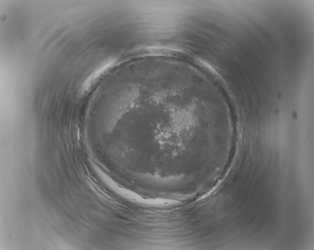 X0000056331403200509092316