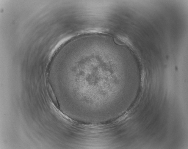 X0000056331404200509092316