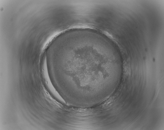 X0000056331408200509092316