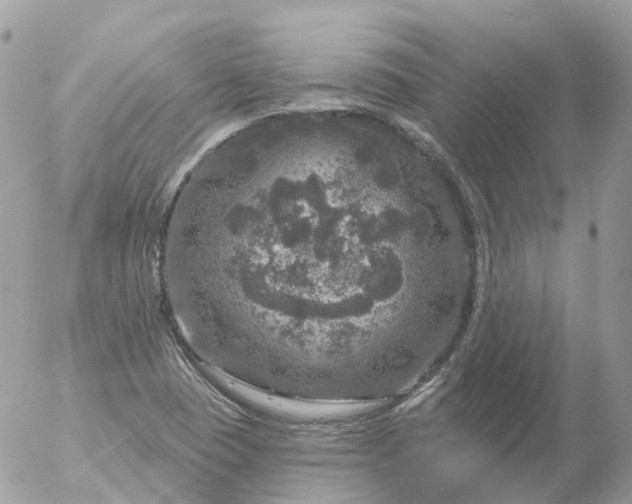 X0000056331409200509092316