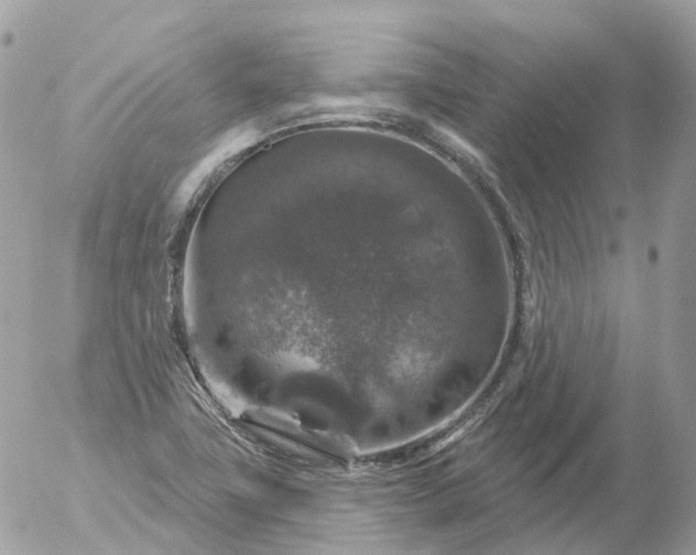 X0000056331411200509092316