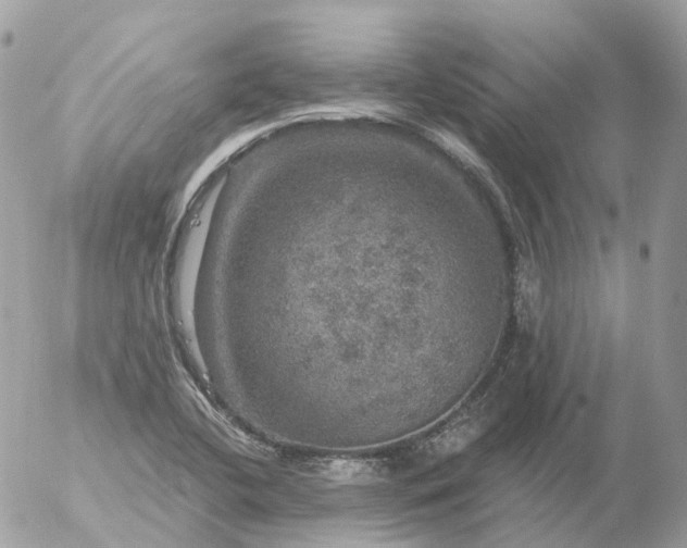 X0000056331412200509092316