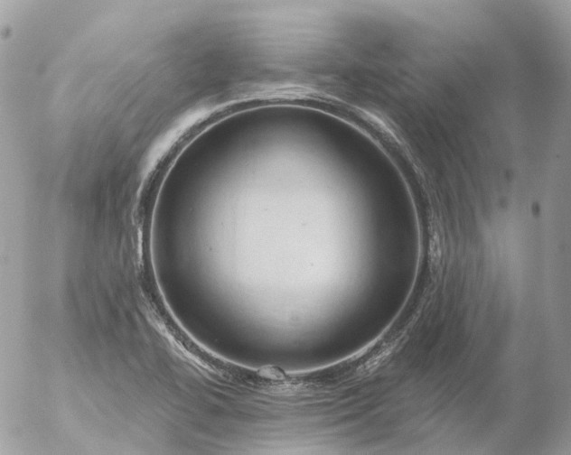 X0000056331414200509092316